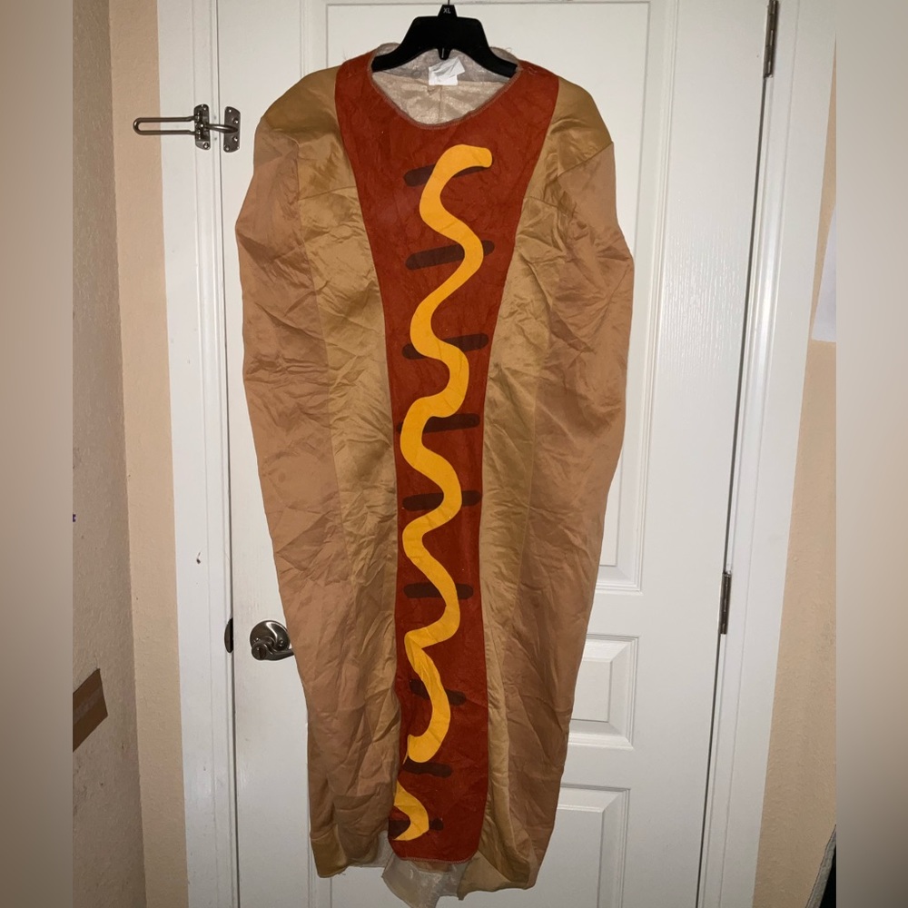 Plus size adult Costume